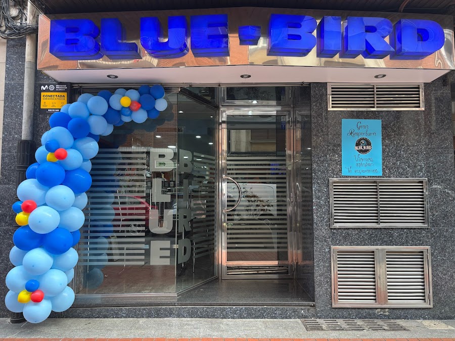 Blue-Bird