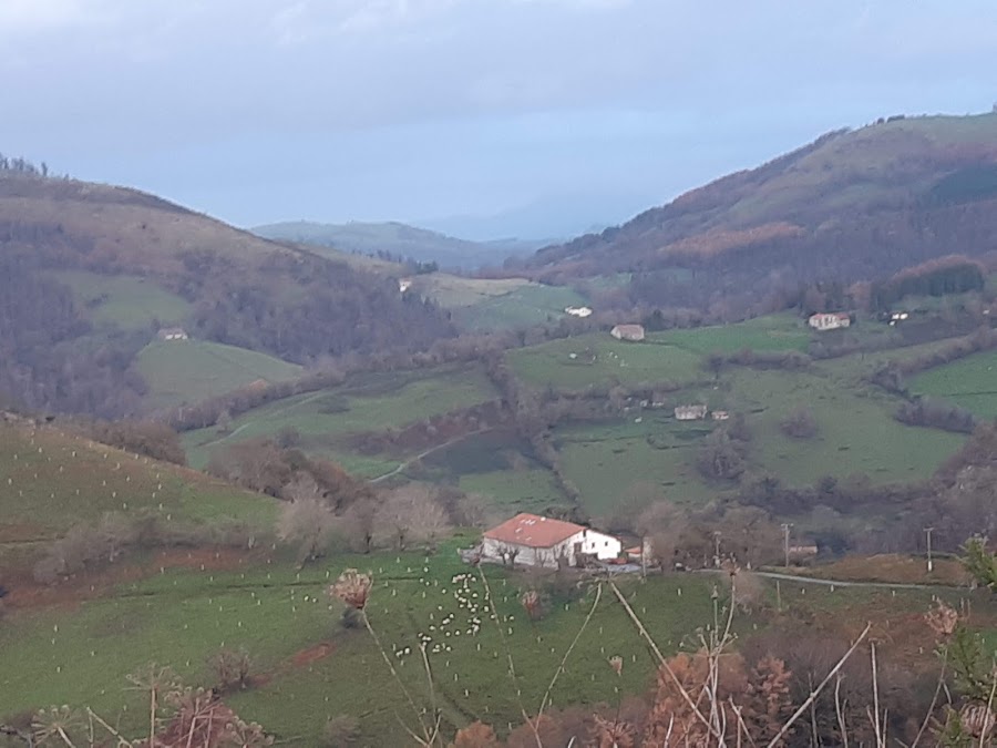IMAZ jatetxea