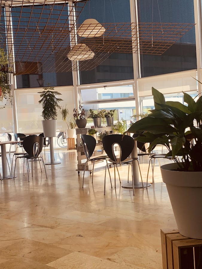 El fogón de Miramón