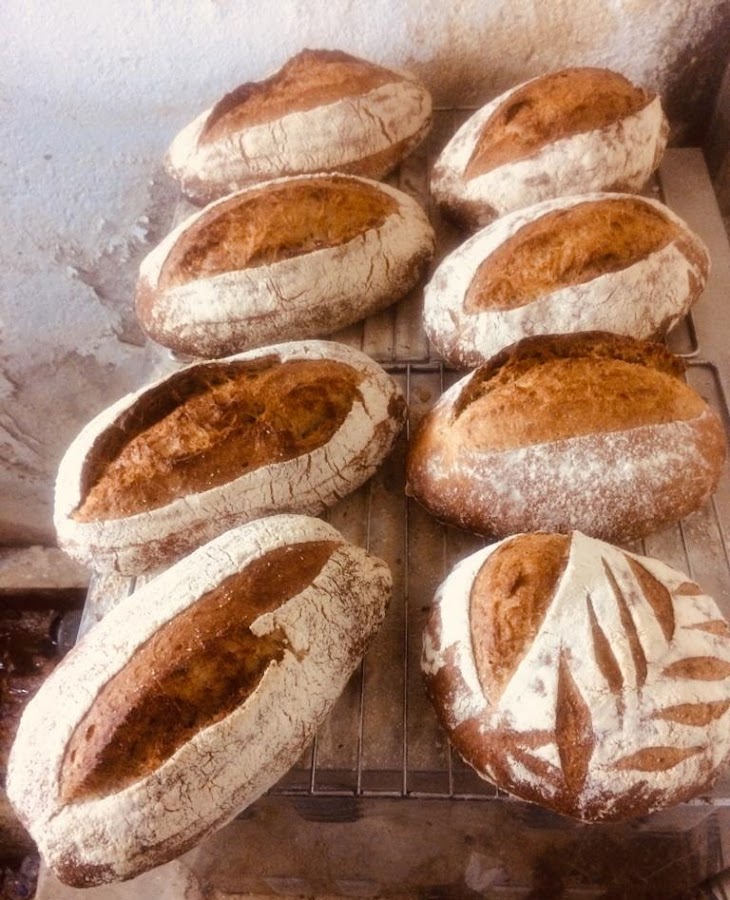 Txiriboga Taberna